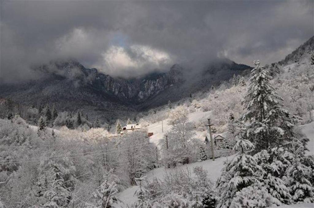 Pensiunea Aurora Izvorul Muntelui Bicaz Exterior foto